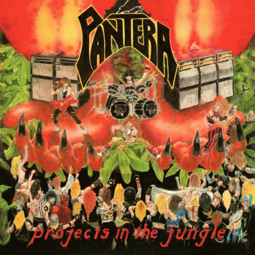 Projects in the Jungle